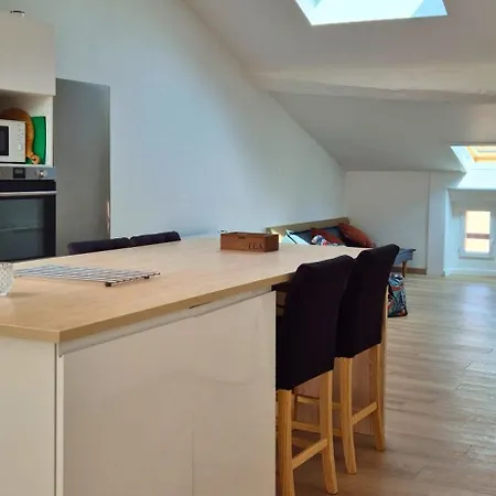 Lum De - Clim - Centre - Spacieux 公寓 达克斯